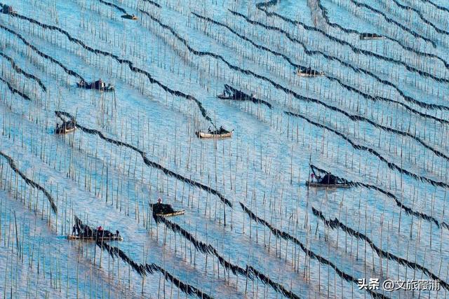 霞浦建善寺简介，2023年霞浦旅游月历新鲜出炉~快收藏→