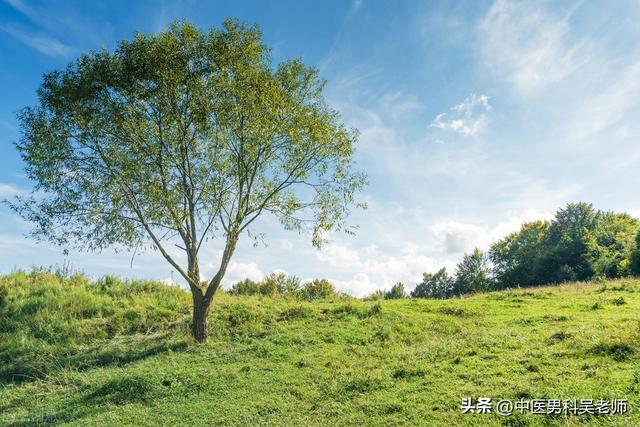 为什么女生结婚第二天起不来，为什么现在90后的女生都不愿意结婚（本质还是命门之火不能持续性地燃烧）