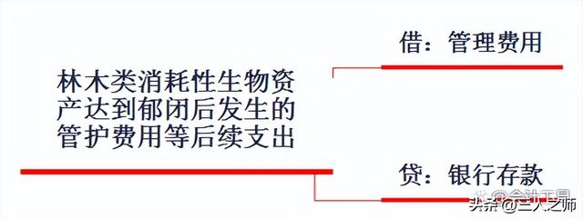 消耗性生物资产，消耗性生物资产是什么（生物资产案例分析及关键考点）