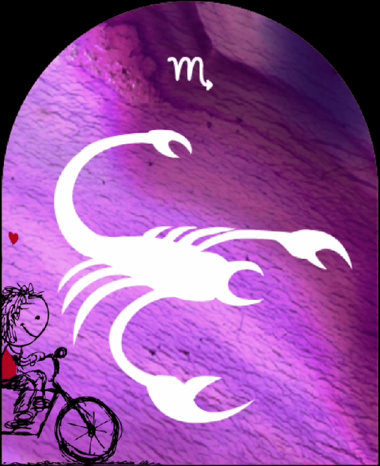 天蝎座性格特征，天蝎座的性格特征（你想知道的一切）