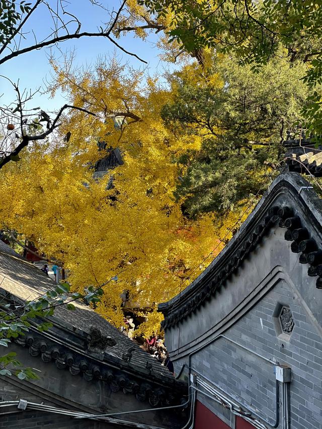 北京郊区一日游，北京郊区一日游最佳路线（曲径通幽好去处一一北京大觉寺一日游）