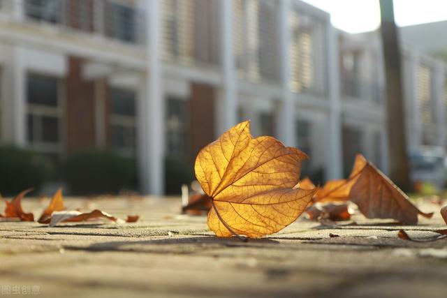 比喻句大全摘抄，比喻句摘抄（15句震撼人心的比喻句）