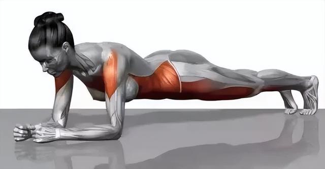 每天平板支撑多久会有效果，平板支撑每天做多久才合适（做平板支撑，每次多久算合格）