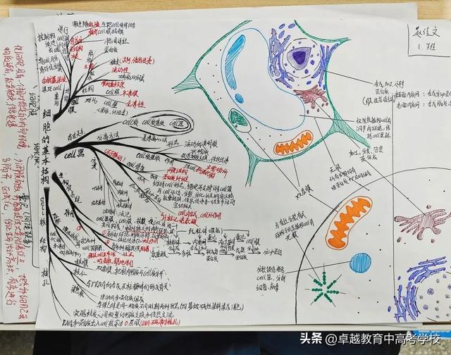 职高“高考班”学生笔记，职高高考班考本科（让学习更游刃有余）
