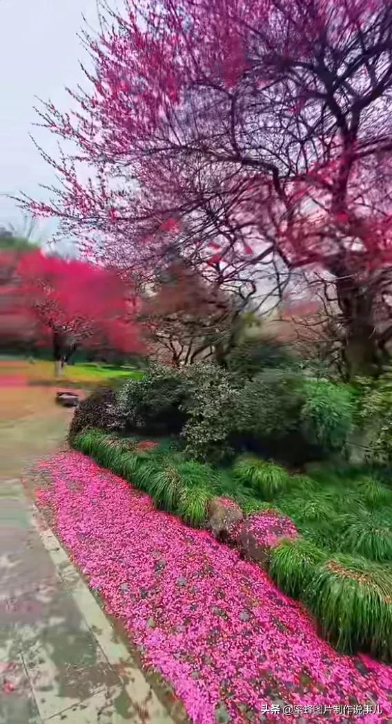 风景美图，风景美图壁纸（鲜花争艳，美景如画，过目不忘）