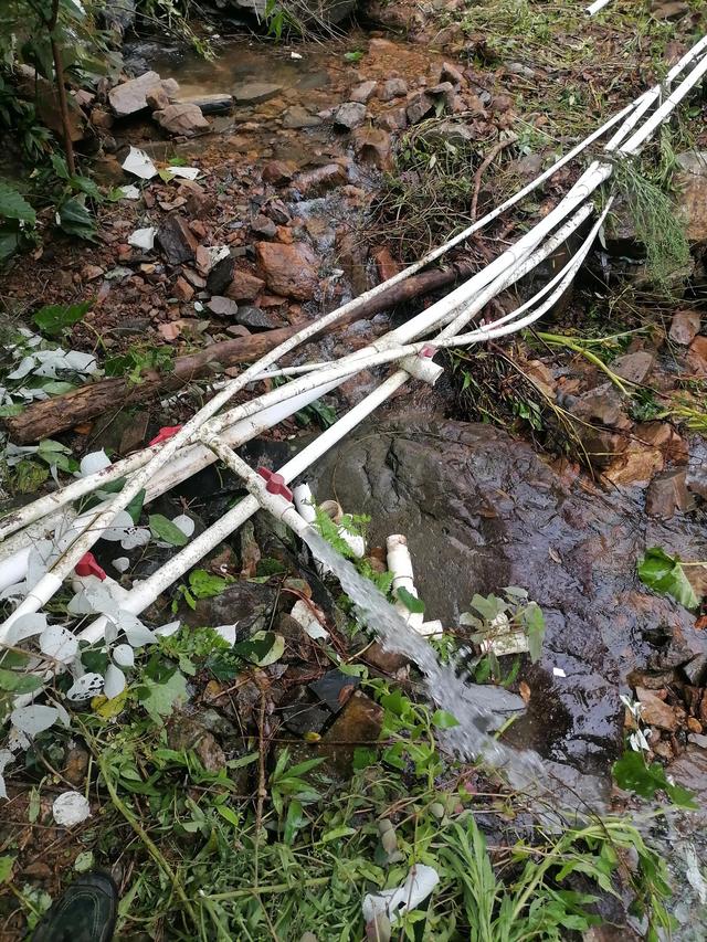 大自然的搬运工，大自然的搬运工是什么动物（大自然的搬运工是什么动物日记）