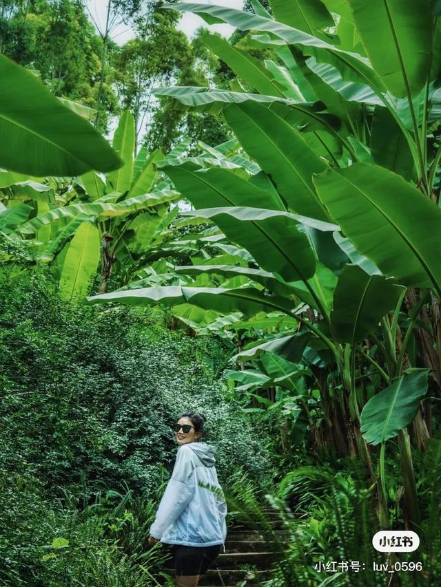 附近景区哪里好玩，宁波附近哪里好玩（大都1天打来回）