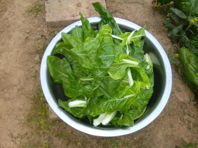 各种青菜大全，青菜菜品大全（6种南方“特有”的蔬菜）