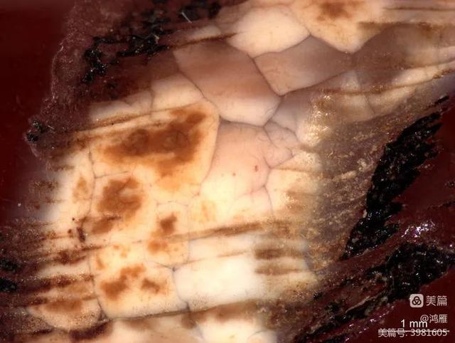 西藏天珠，神秘天珠，你知道多少（西藏天珠产自哪里）