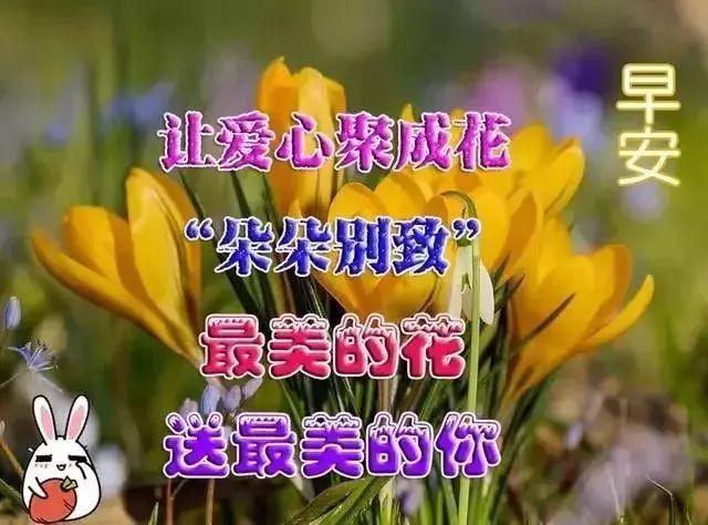简短每日寄语，简短每日祝福语（早上好每天一句祝福语）