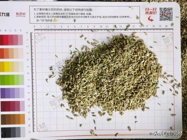 麦冬的价格多少钱一斤，麦冬草籽多少钱一斤（麦冬、金银花、夏枯球、白鲜皮、野菊花）