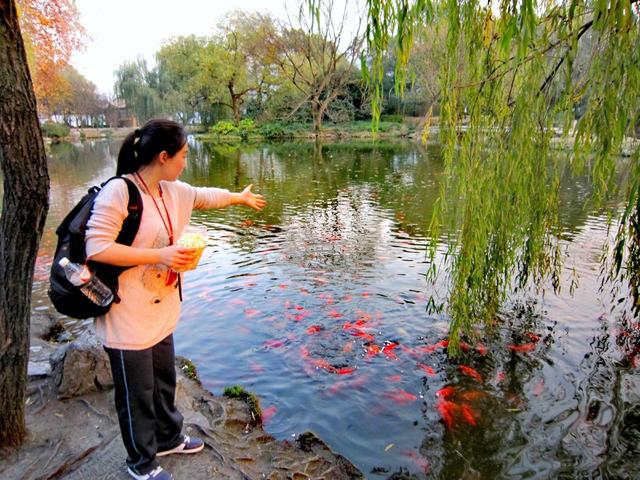 杭州西湖十景最美的景色，最美“西湖十景”图文介绍