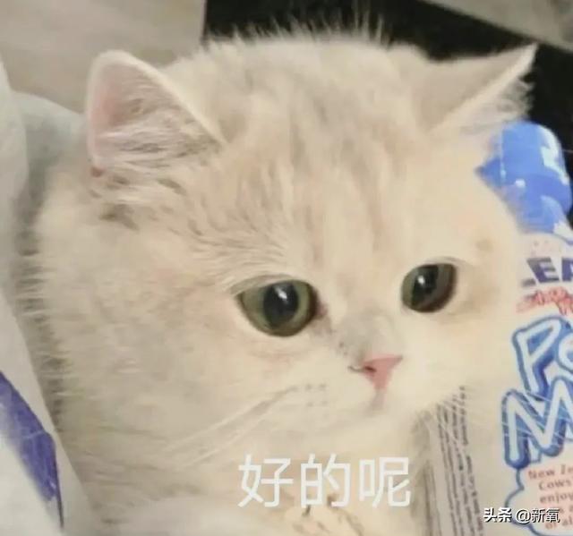 艾玛沃特森图片，艾玛沃特森正脸照（看到艾玛沃特森的近照）