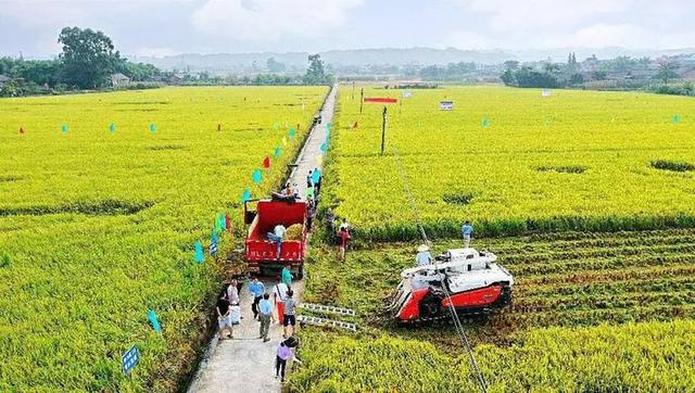 圣经伊甸园什么样子，乡土作家袁炳纲新作《伊甸园》