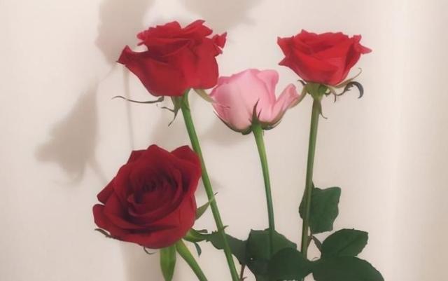 人面子（人面子花期，以下四种面子就别争了（人面子开花吗）