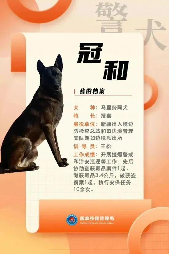 汪汪队立大功百科,汪汪队立大功人物介绍(国家首批功勋犬简历曝光) 汪汪队立大功百科,汪汪队立大功人物介绍(国家首批功勋犬简历曝光)