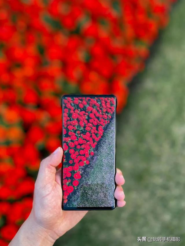 什么情况下拍照用HDR模式，拍照中的hdr是什么模式（你想不到的公园拍照技巧）