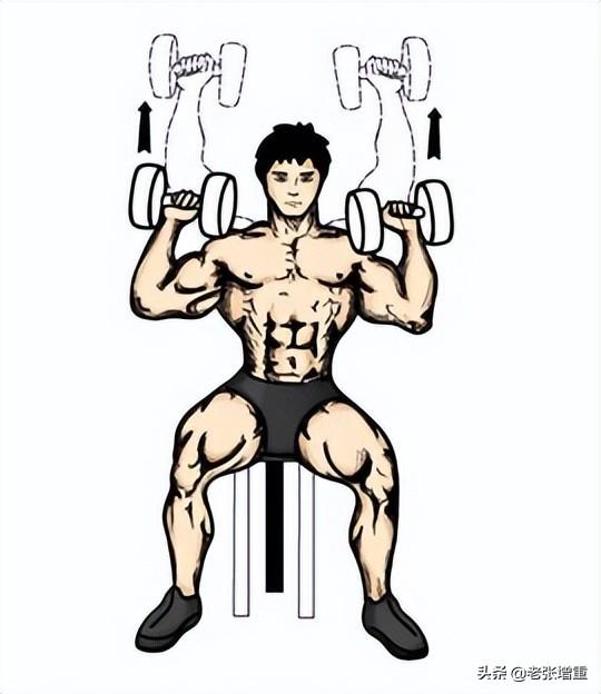 男生该如何正确健身，男士如何健身（想增重应该练哪些肌肉）