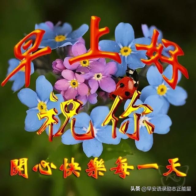 发自拍照的励志语录，适合发自拍照的句子正能量（早安励志正能量精辟短句子）