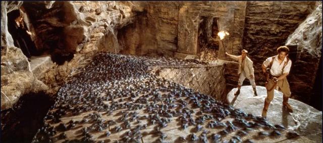 关于蛇的电影有哪几部，关于蛇的电影有哪几部分（评分最高十大怪兽电影）