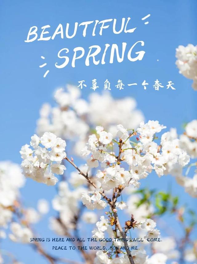 高端大气的早安图片(特别漂亮的早上好动态图片最新版)