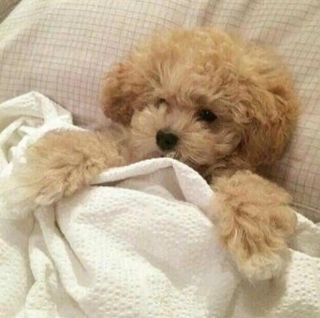 简单QQ头像微信，简单QQ头像（超级好看的可爱头像）