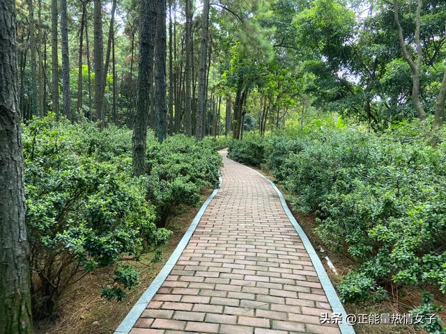 韶关丹霞山旅游攻略，韶关丹霞山旅游攻略 丹霞山好玩吗（黄飞鸿的故乡西樵山一日游游玩攻略）