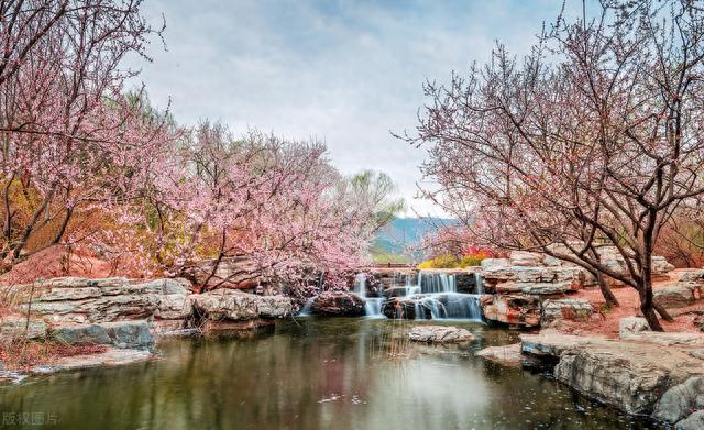 夏日京郊游，去北京植物园感受自然的美妙，亲近自然消去一身暑气