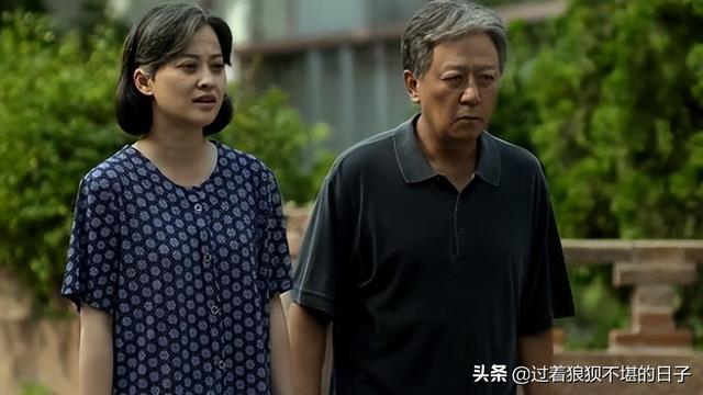 什么是家庭成分高，什么是家庭成分高的奶粉（《父母爱情》究竟有什么魔力）