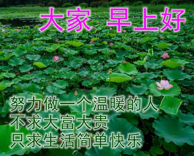 朋友圈动态背景，微信朋友圈动态背景怎么设置（夏日早上好动态祝福图片）