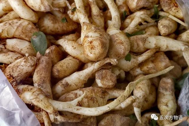 姜的种类和功效，姜的种类和功效和作用（12种姜科的辛香料）