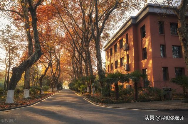 中科大是哪所大学，中科大在985排名第几（中国科学技术大学）