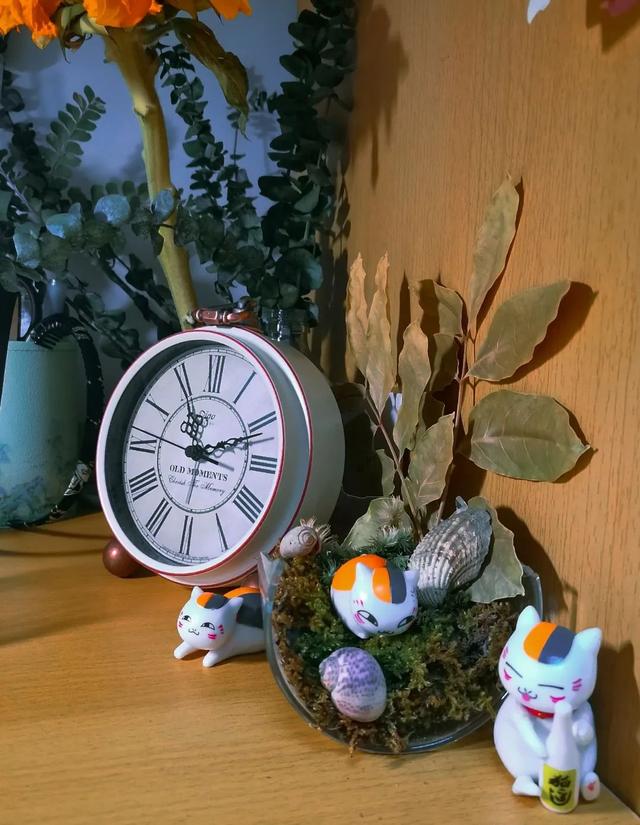 厦门大学宿舍，厦门大学宿舍几人间（一起提升宅寝幸福感）