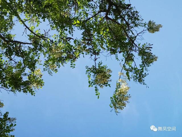 北京西山森林公园，北京西山森林公园登山路线推荐（西山国家森林公园）