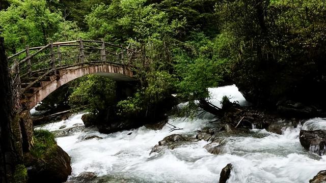 成都周边一日游，成都周边一日游风景好的地方推荐（山野间“粽”情享受）