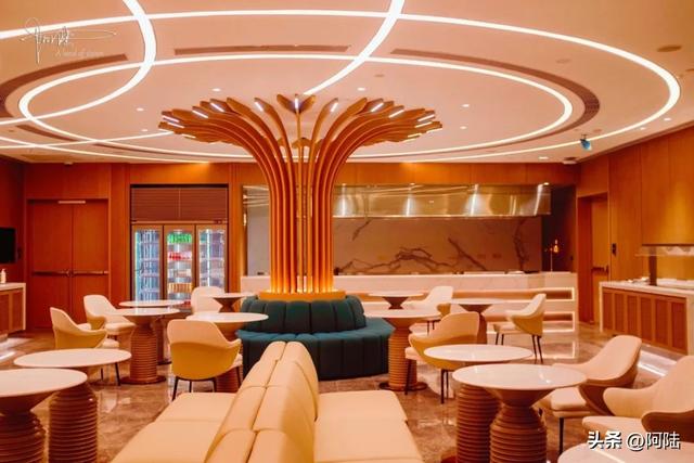 机场贵宾休息室，机场贵宾室如何付费（萧山机场新航站楼的的VIP休息室原来是这样的）