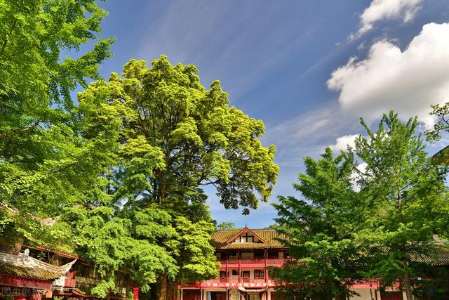 青城山简介，四川都江堰市青城山简介（寻找你的“一帘幽梦”）