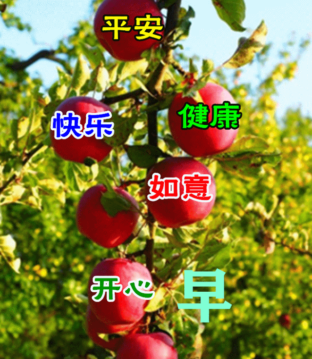 正能量早安问候语，简短正能量早安问候语（早安心语，正能量经典说说句子）