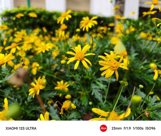 小米和vivo哪个好，小米和vivo手机优缺点对比（小米、OPPO、vivo三大拍照旗舰横评）