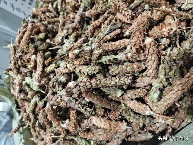 麦冬的价格多少钱一斤，麦冬草籽多少钱一斤（麦冬、金银花、夏枯球、白鲜皮、野菊花）