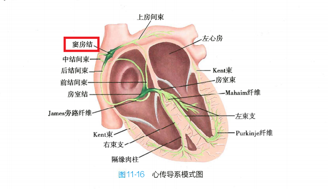 贝克街的亡灵豆瓣，贝克街的亡灵普通话合集（《名侦探柯南》翻车了吗）