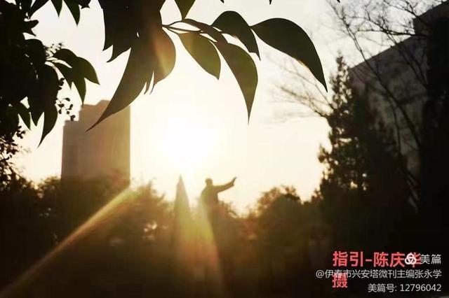 绿色军衣的歌词，绿色军衣歌词（铁十四师战友《辞旧迎新》网上联欢晚会专辑）