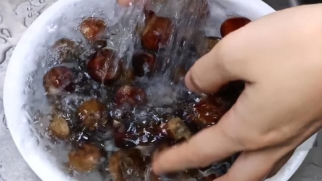 怎样把板栗从树上取下来—怎样得到好的板栗，板栗怎么取出来（板栗快速去壳的小妙招）