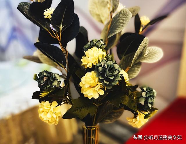 心疼关心一个人的句子，体谅和心疼对方的句子（秋凉了，写给最牵挂的你）