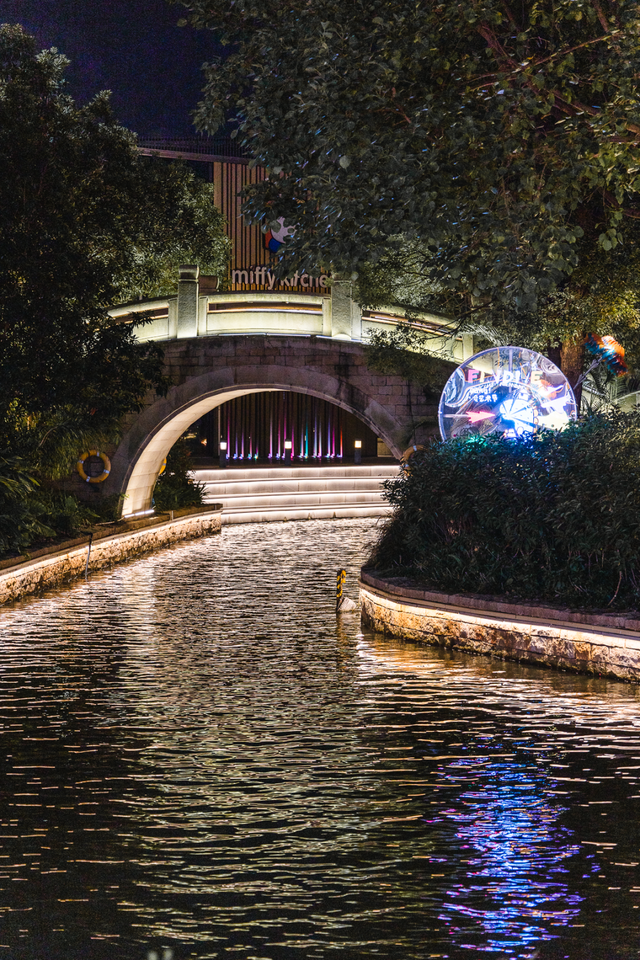 深圳海洋世界攻略，海洋馆、水秀剧场、梦幻巡游…在这里全都有