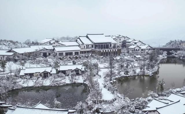 经典花诗歌句子，诗与花唯美句子（10首咏雪诗词）