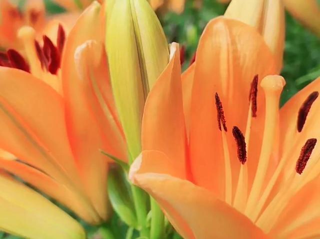 努力的意义是什么，努力的意义是什么图片（女人努力的意义是什么）