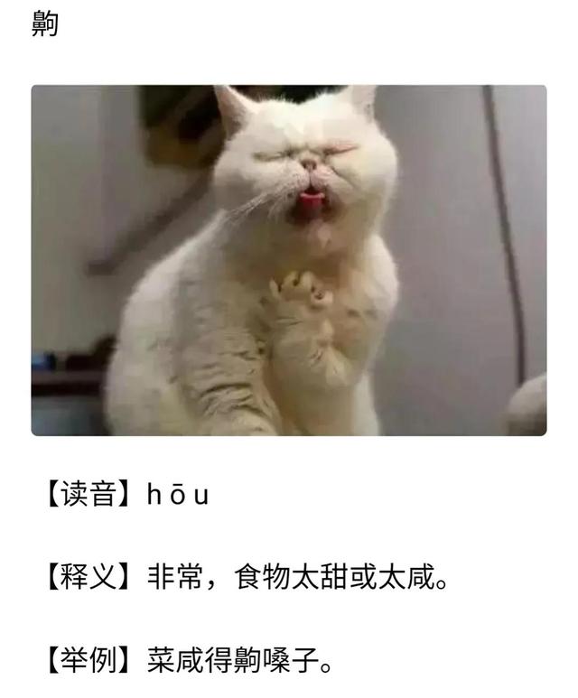 矜持怎么读，矜持怎么读啥意思（你知道鲁西南方言这些生僻字吗）