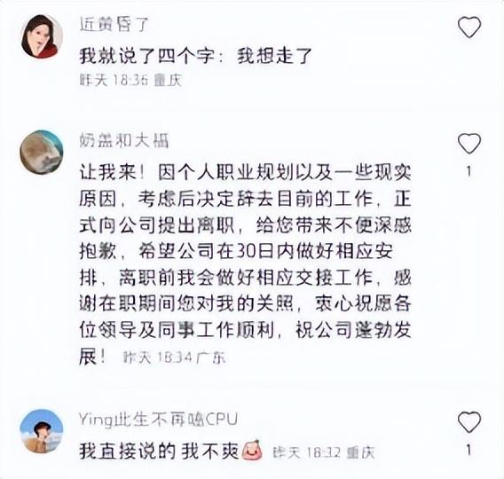 最佳离职原因30字左右，30字左右的个人离职申请怎么写（年后辞职理由大赏-我想去有风的地方）