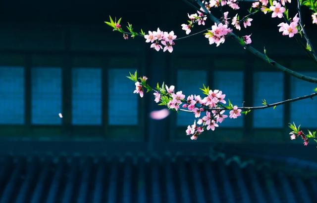 史记是一部什么体史书，史记是一部什么体的史书（中国文学史上的60个“第一”）